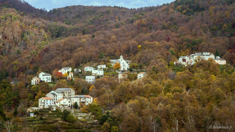 Tarrano