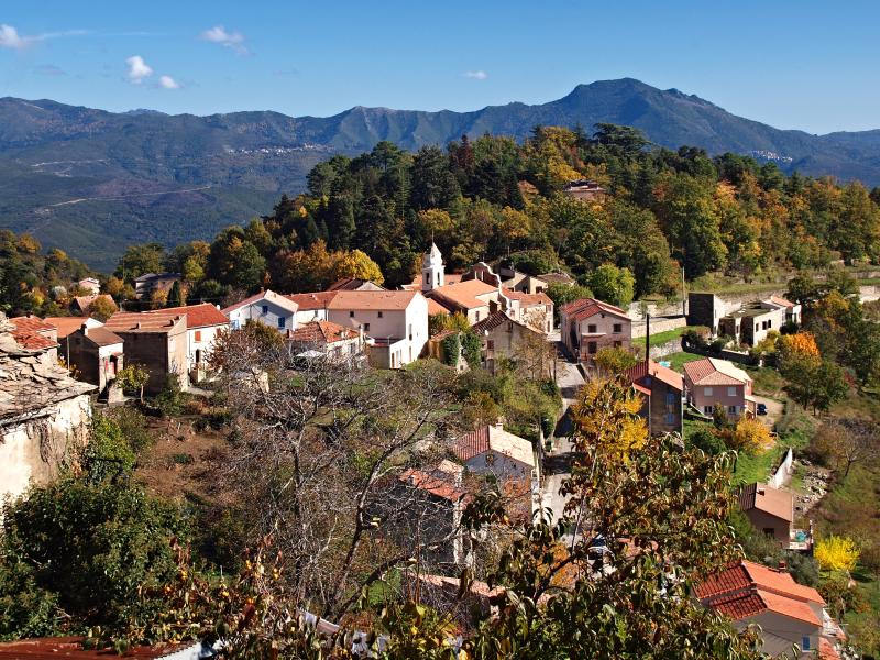 Venaco
