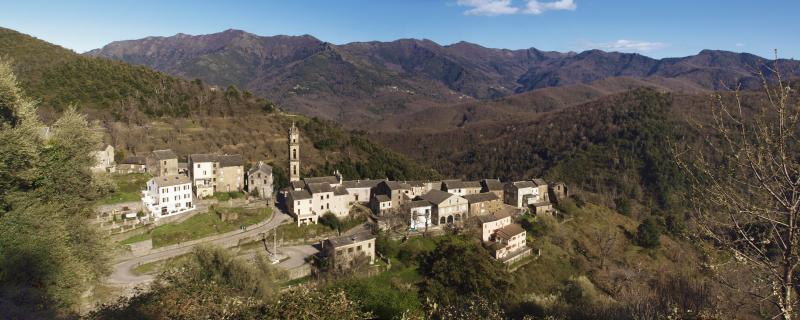Verdèse