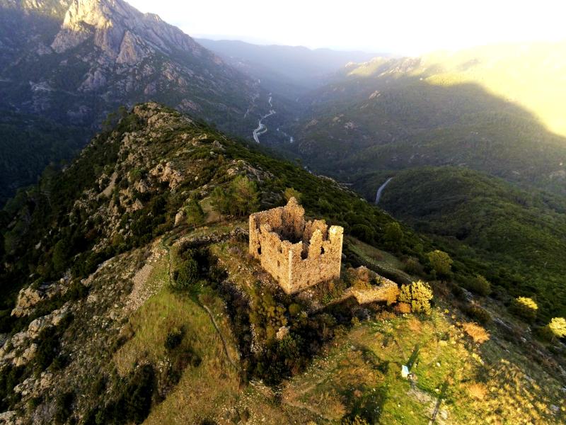 Vivario