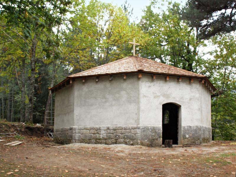 Vivario