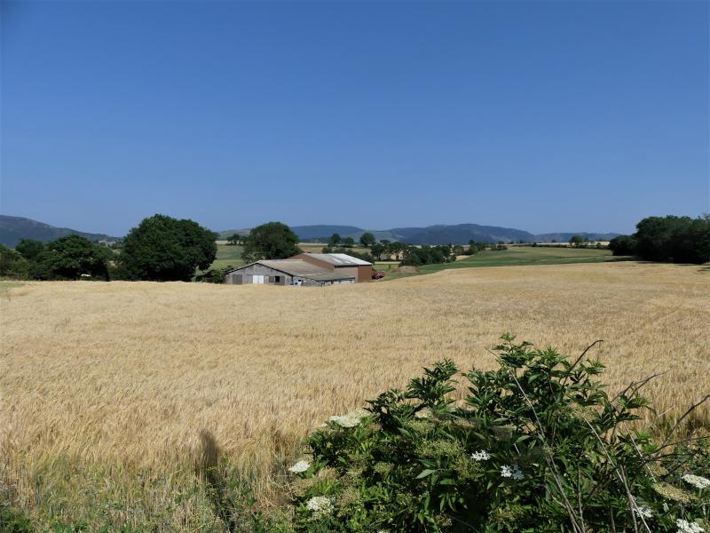 Causse-Bégon