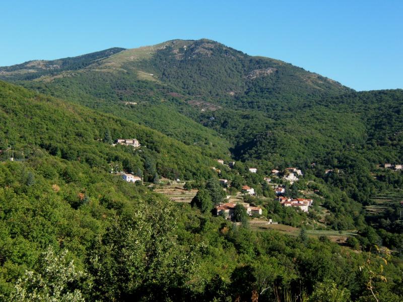 Mandagout