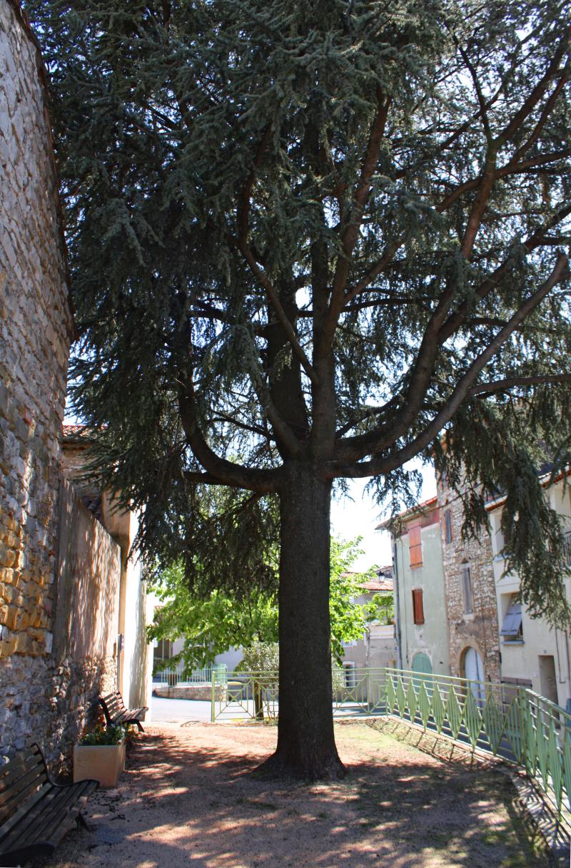 Photo 2 - Gendarmerie - Brigade de Vézénobres - Gendarmerie nationale