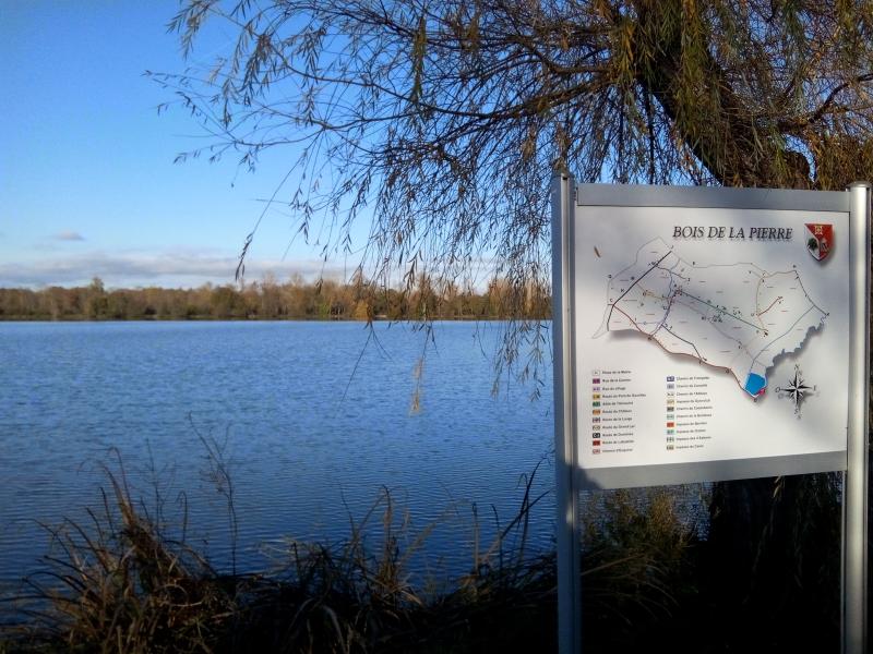 Bois-de-la-Pierre
