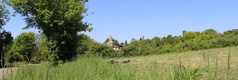 Castillon-de-Saint-Martory
