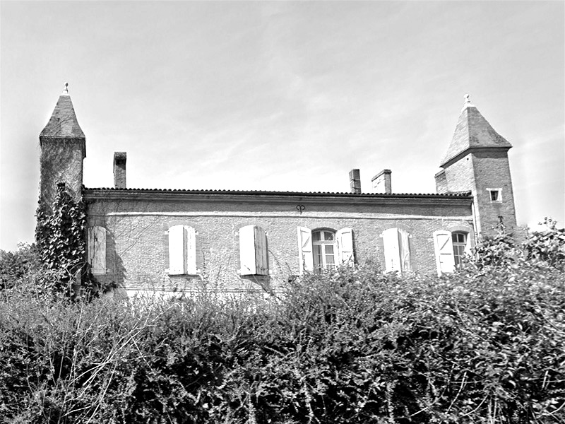 Mervilla