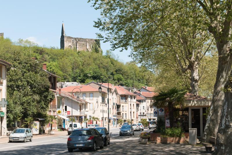 Salies-du-Salat