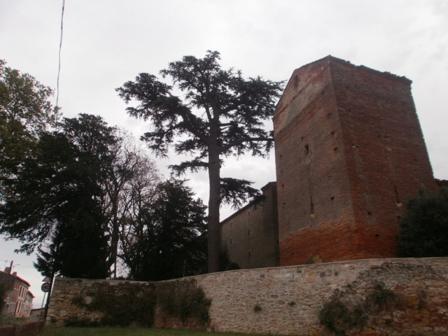 Vallègue