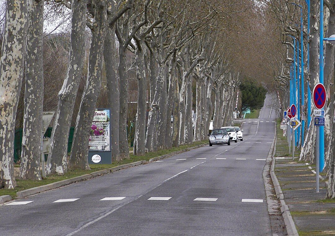 Photo 4 — L'Isle-Jourdain, Gers (32600)
