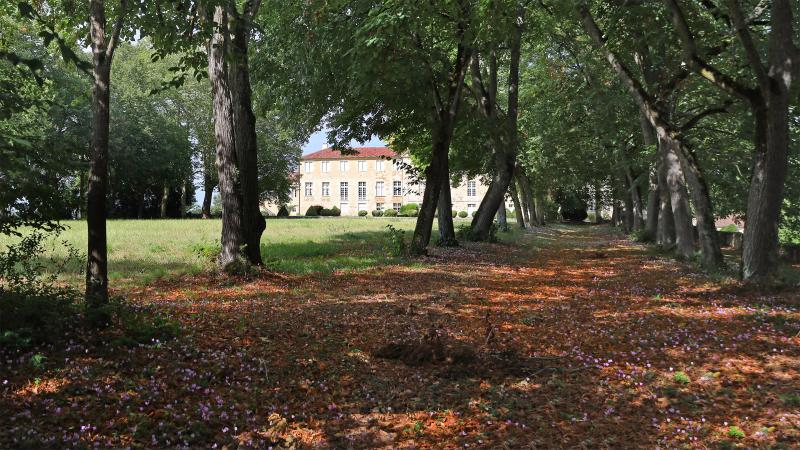 Mansencôme