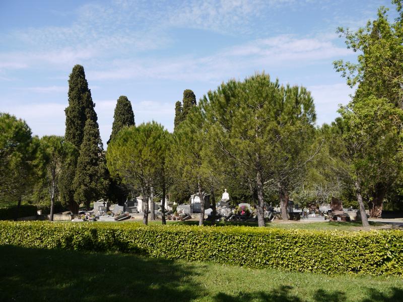 Marsan
