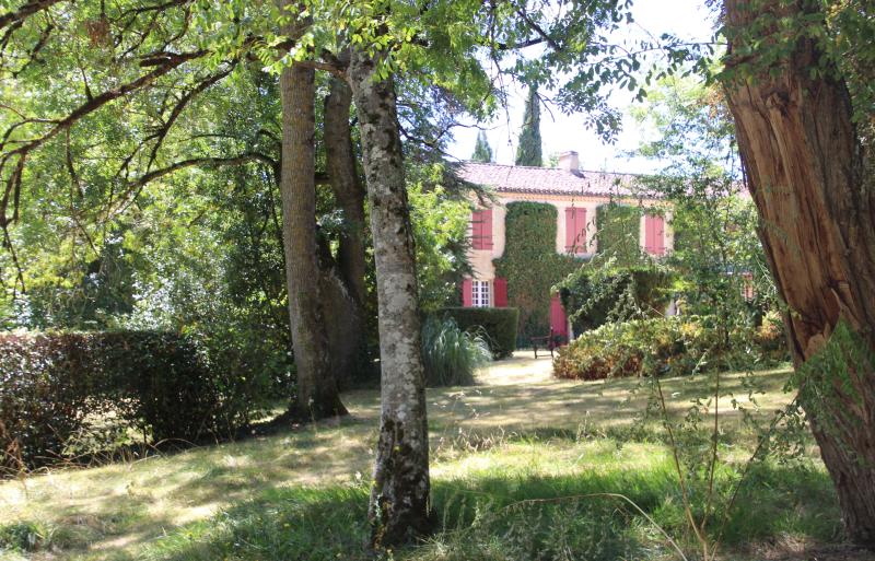 Pavie