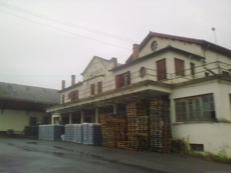 Viella