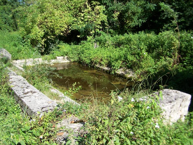 Arbanats