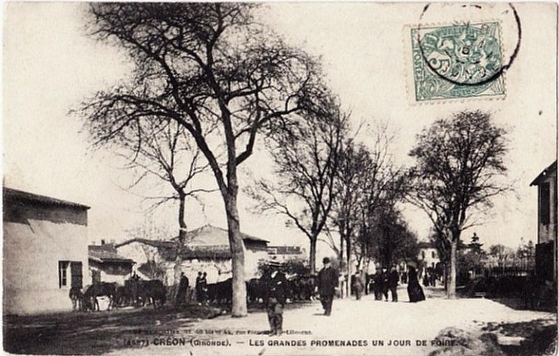 Créon