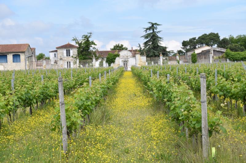Jau-Dignac-et-Loirac