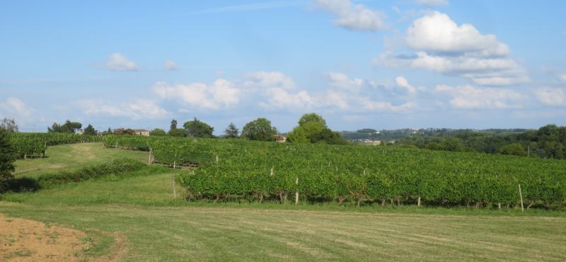 Morizès