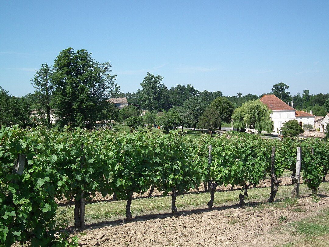 Photo 3 — Pleine-Selve, Gironde (33820)