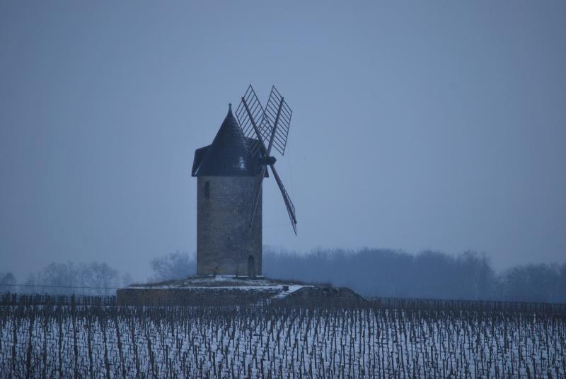 Saint-Aubin-de-Branne