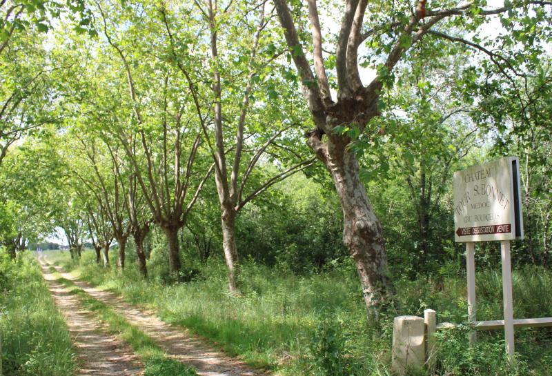 Saint-Christoly-Médoc