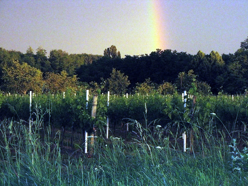 Saint-Romain-la-Virvée
