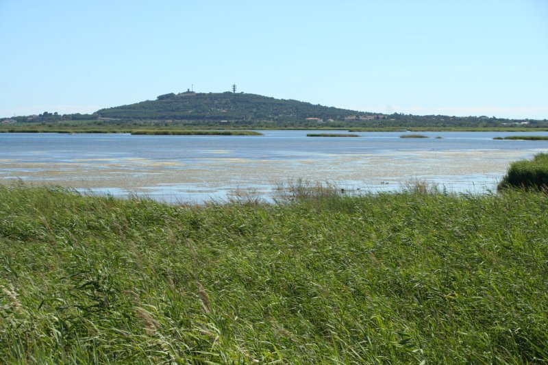 Agde
