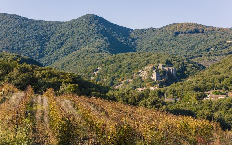 Photo 1 - Cabrerolles, Hérault (34480)