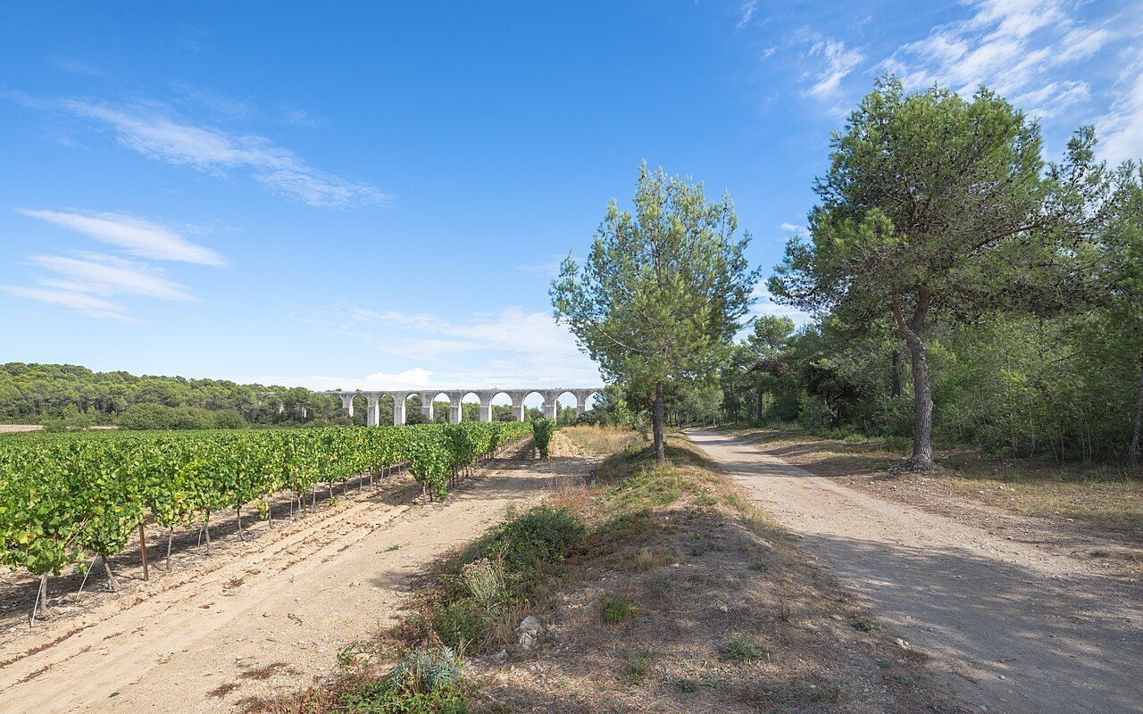 Photo 6 — Castries, Hérault (34160)