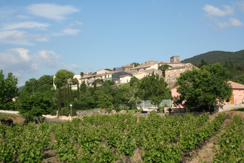 Caussiniojouls