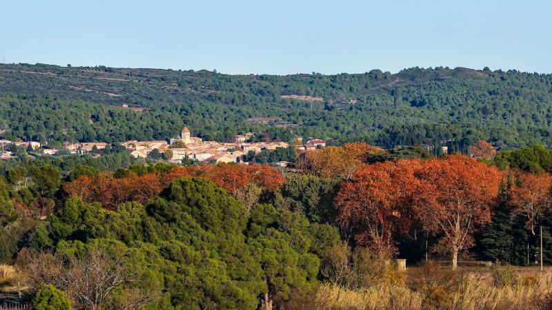 Photo 1 - Cesseras, Hérault (34210)