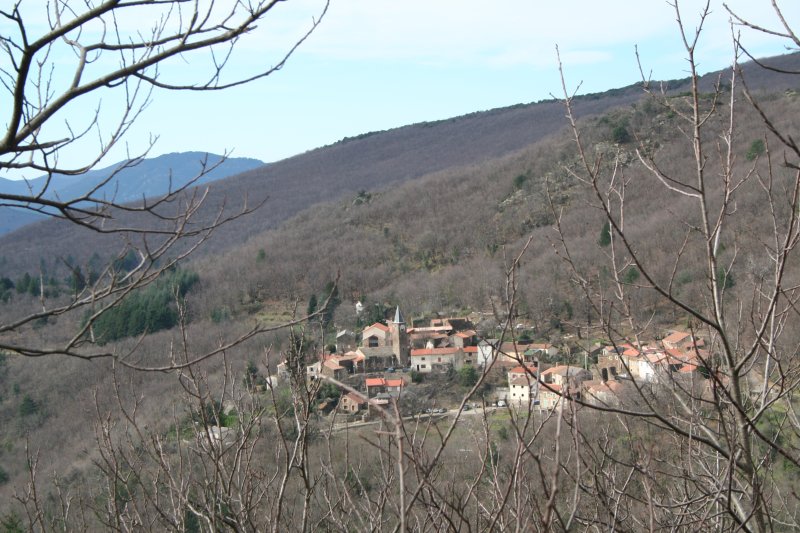 Combes