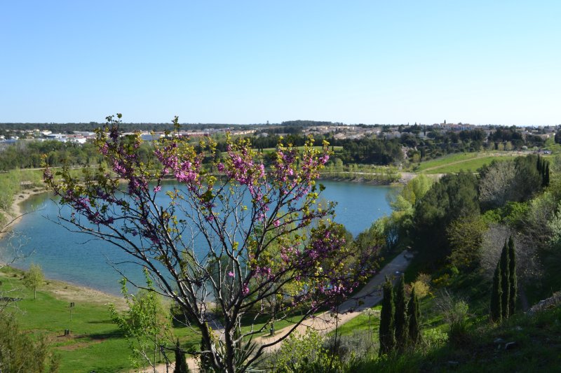 Le Crès