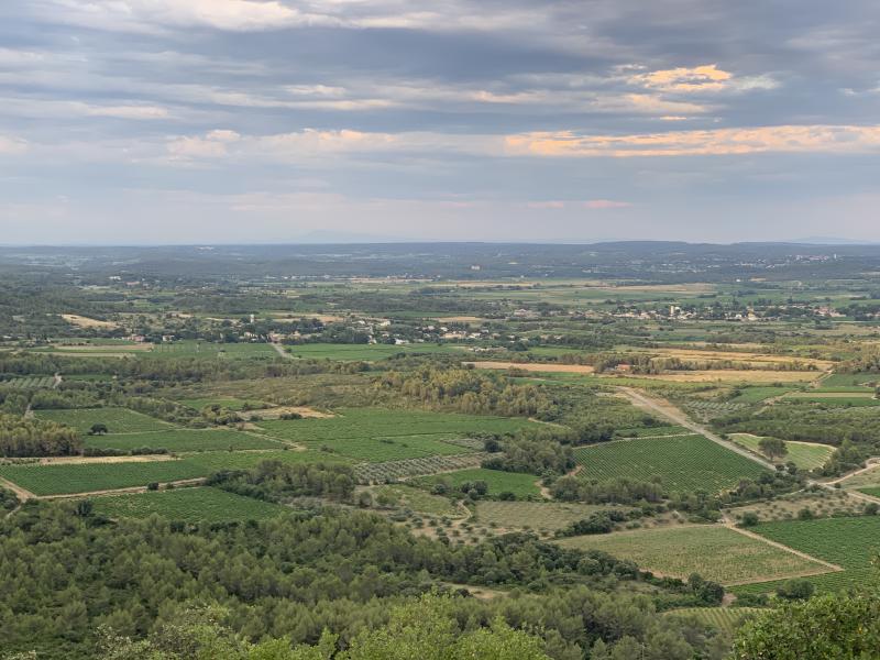 Garrigues