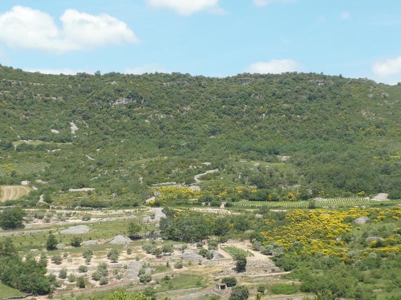 Lauroux