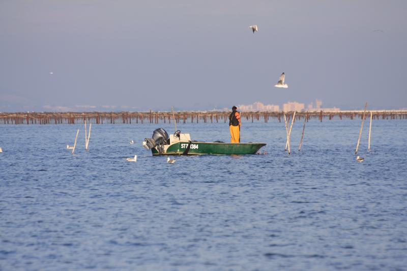 Marseillan