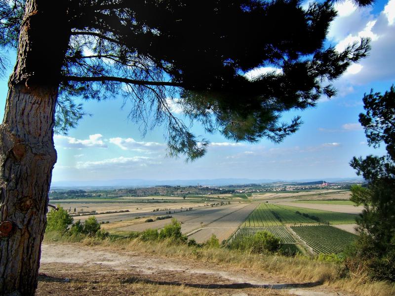 Montady