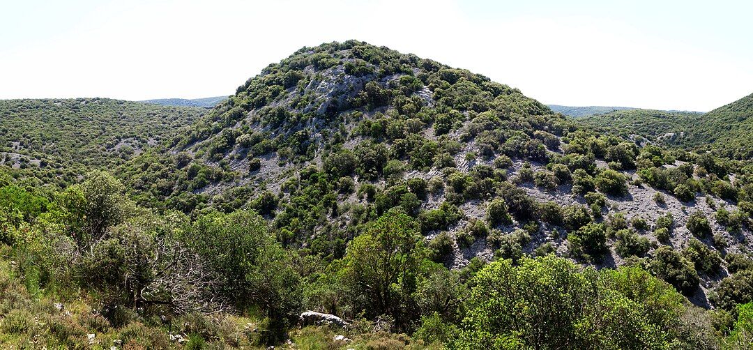 Photo 2 — Murles, Hérault (34980)
