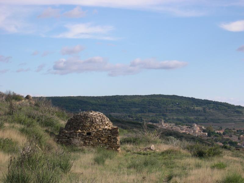 Neffiès