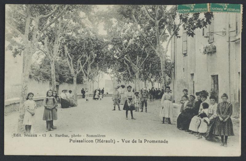 Puissalicon