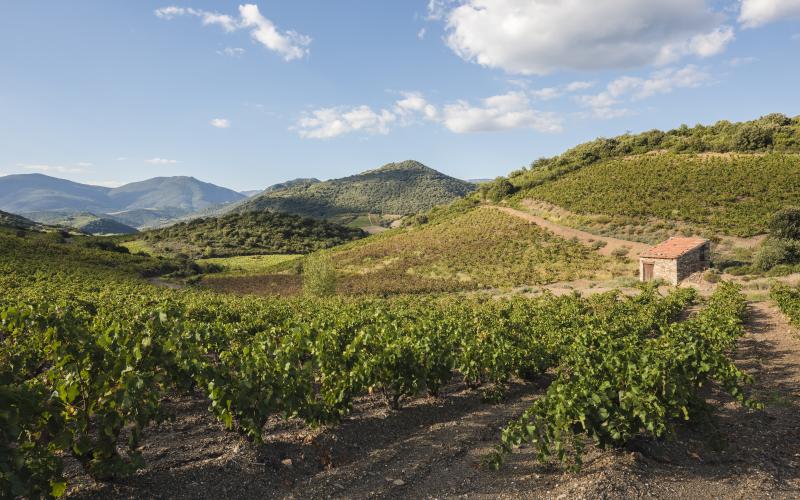 Roquebrun
