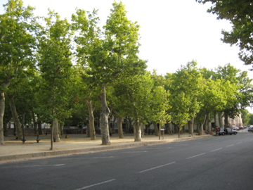 Saint-Chinian
