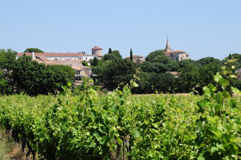 Entre-Vignes