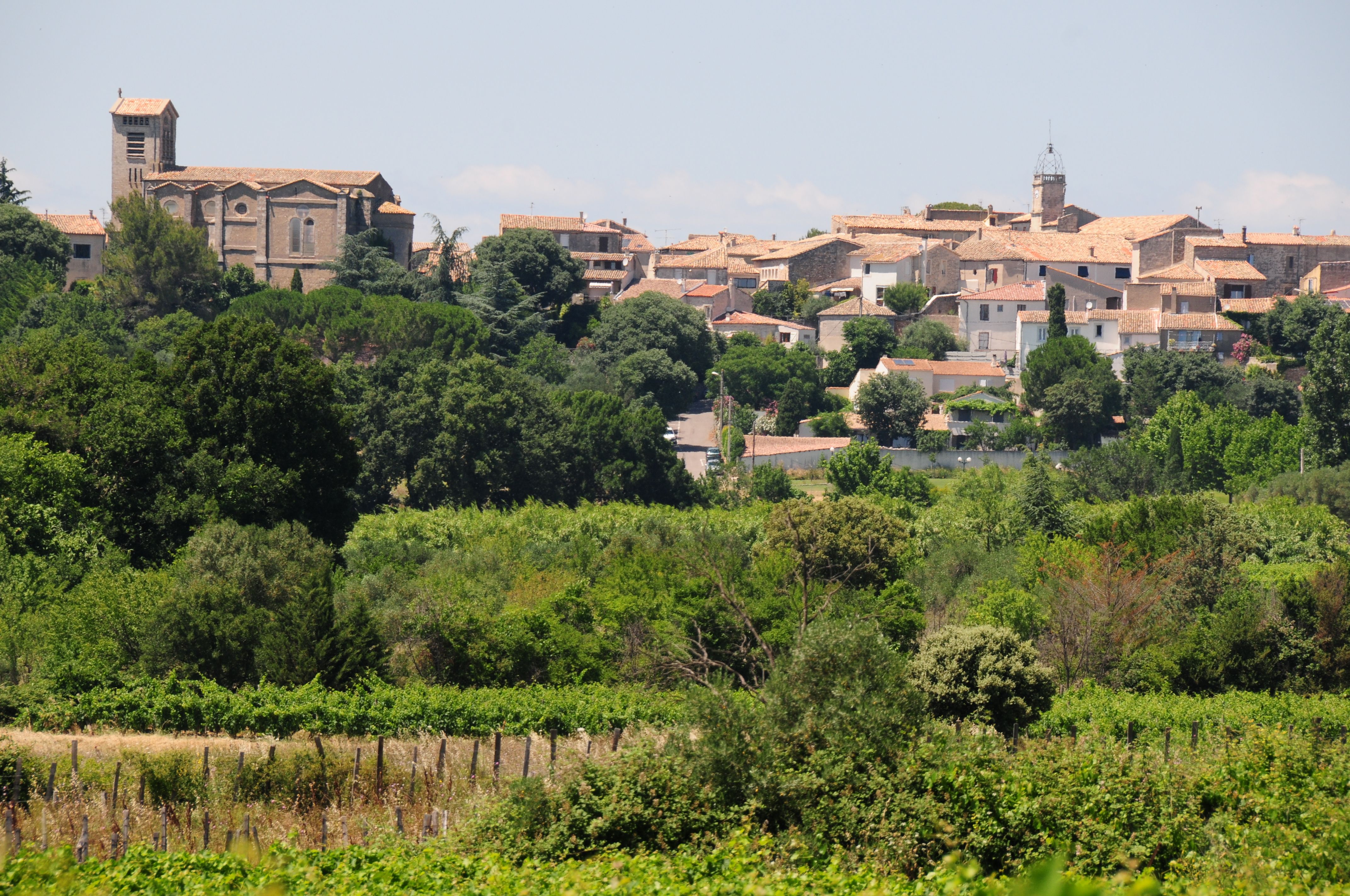 Photo 2 — Entre-Vignes, Hérault (34400)