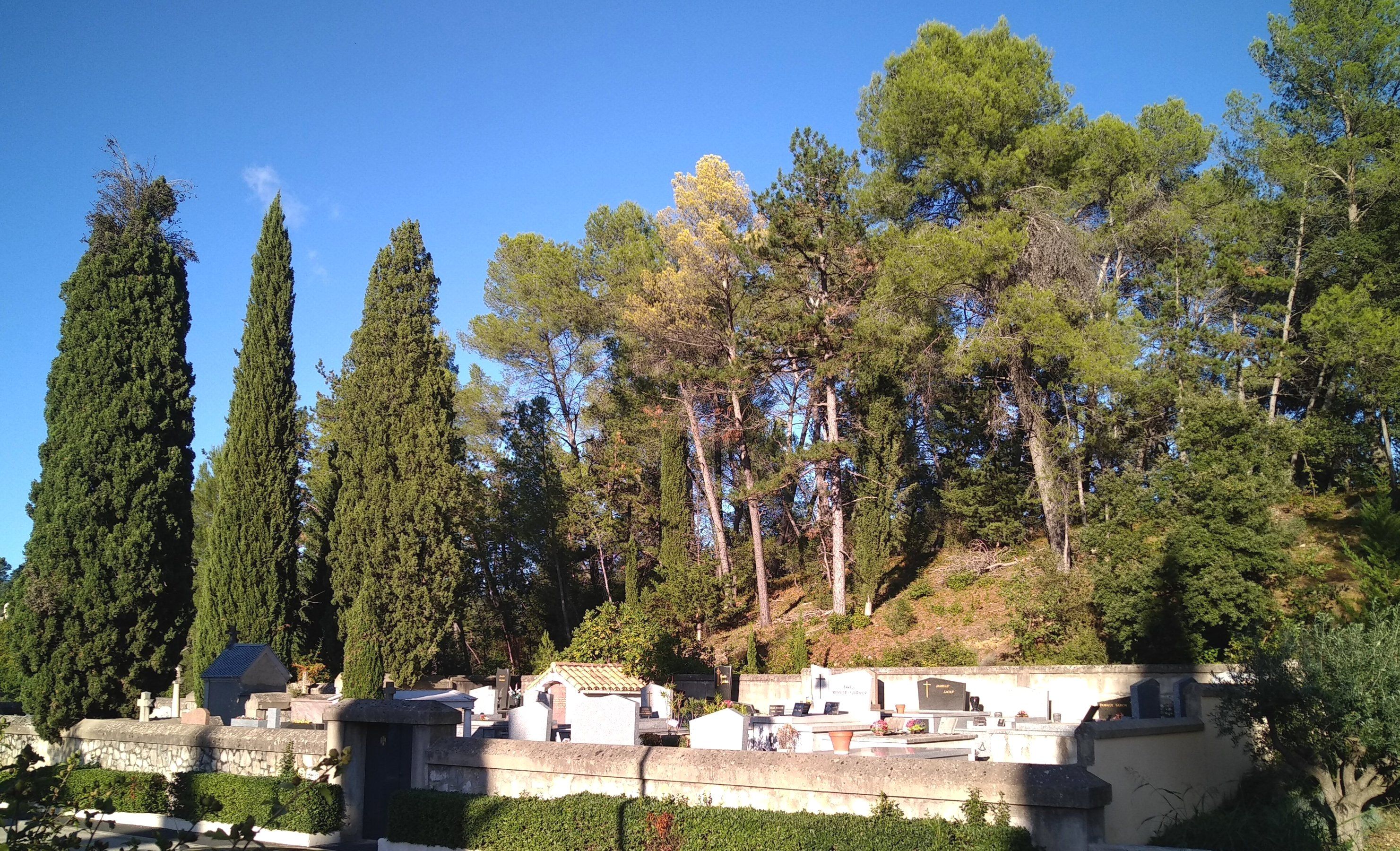 Photo 2 — Saint-Clément-de-Rivière, Hérault (34980)