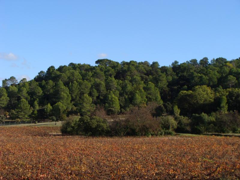 Saint-Gély-du-Fesc