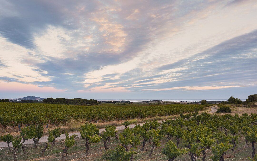 Photo 2 — Saint-Just, Hérault (34400)