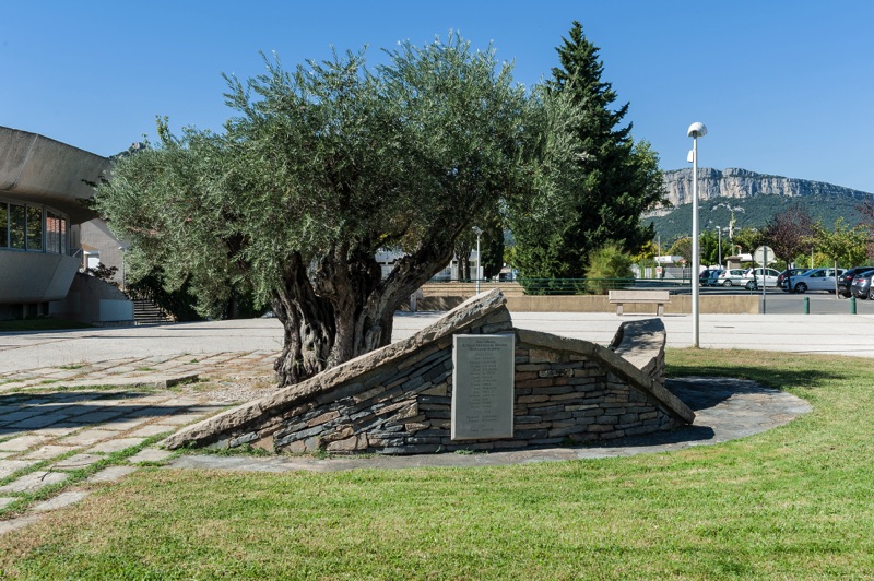 Saint-Mathieu-de-Tréviers