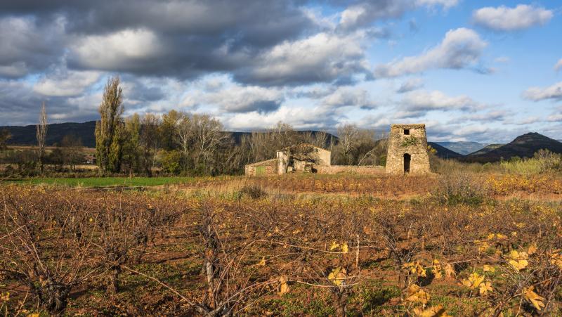 Photo 4 - Salasc, Hérault (34800)