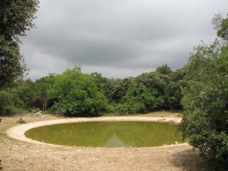 Viols-en-Laval